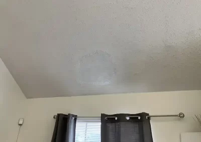 Fencing Services (4)